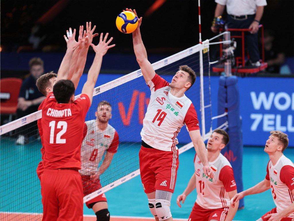 而澳大利亚 而澳大利亚